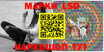 прущие грибы Сланцы