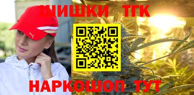 винт Славгород