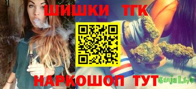 винт Славгород