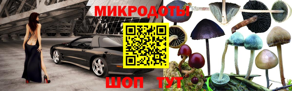 Галлюциногенные грибы Psilocybe Можга