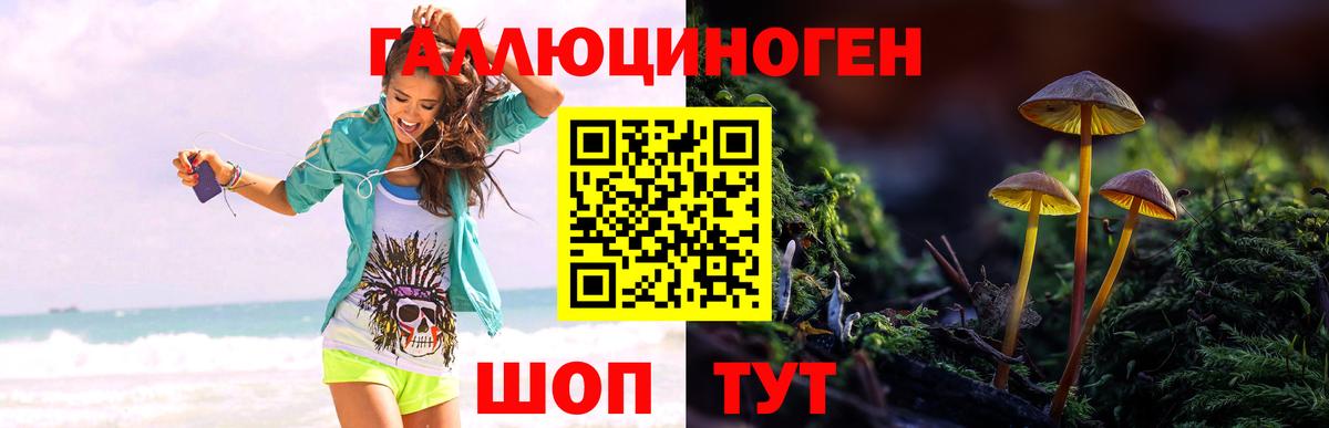 Галлюциногенные грибы MAGIC MUSHROOMS  Псилоцибиновые грибы Psilocybe  Можга  Вход с VPN 
